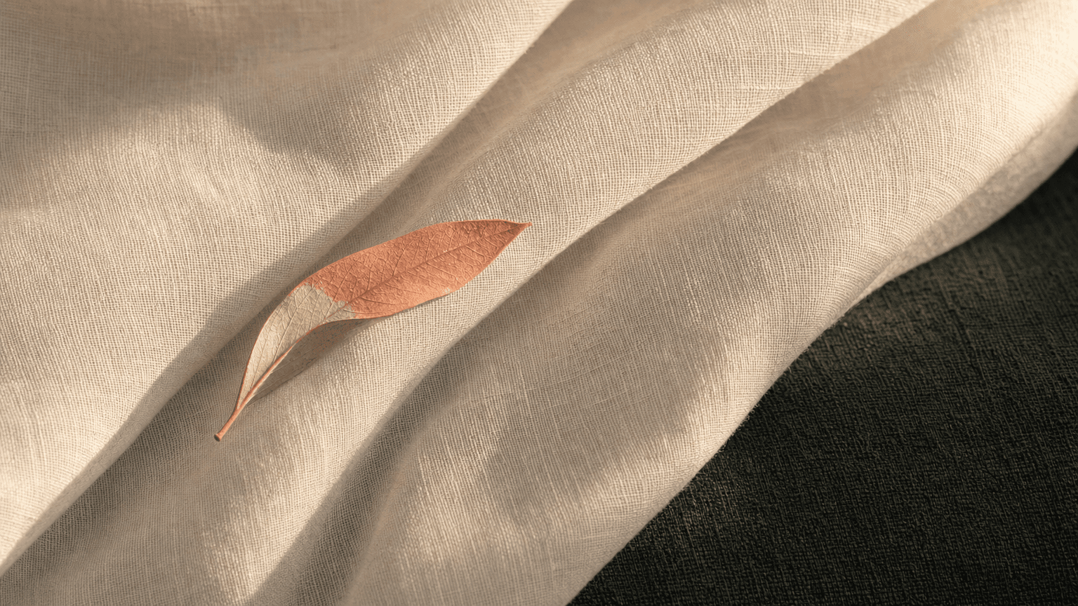 Ein einzelnes gepresstes dusty-coral Olivenblatt auf bone-cream Chiffon — Symbol des permanent natürlichen Ergebnisses